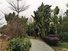 -厦门悦华酒店