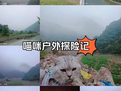 -朝阳沟