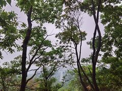 -火炉山森林公园