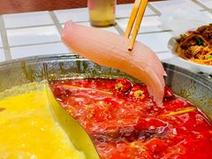 -朱光玉火锅馆(正弘城店)