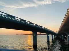 -演武大桥观景平台