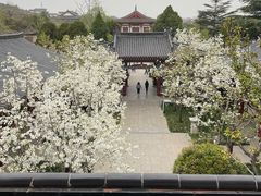 -华清宫景区