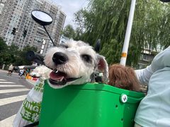 -爪吧宠物乐园 (温榆河示范区店)