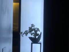 -滇铺子(欣都龙城店)