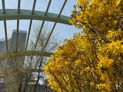 -长白岛森林公园