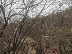 -嵖岈山风景区