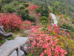 -梧桐山风景名胜区