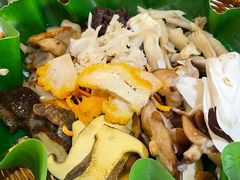 -野菌王•养生汤锅•野生菌火锅(大理漾濞路店)