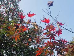 -浙江大学(玉泉校区)