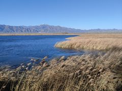 -野鸭湖国家湿地公园
