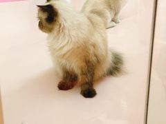 -福田卓悦INTOWN购物中心
