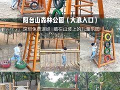 -阳台山森林公园