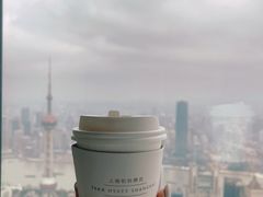 -上海柏悦酒店