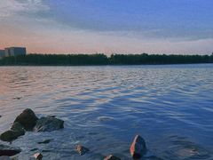 -北龙湖湿地公园