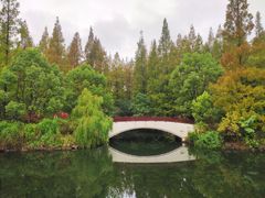 -东平国家森林公园