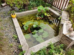 -青枫公园