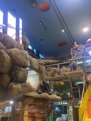 -卡通尼·Safari非洲探索乐园·生日会(金桥国际商业广场店)