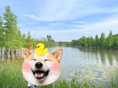 -白鹭湾湿地公园