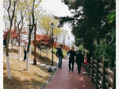 -铁山坪森林公园