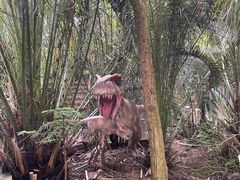 -呀路古热带植物园