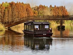 -溱湖国家湿地公园