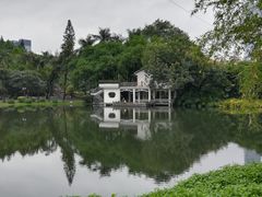 -晓港公园