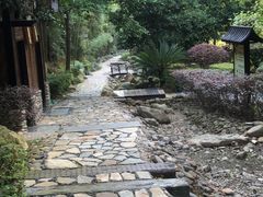 -明月山天沐温泉度假村