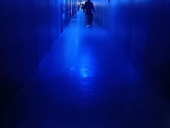 -白鹤梁水下博物馆