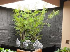 -宫七SPA·高端Massage(浦东大道店)