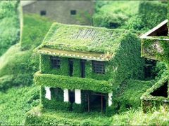 -枸杞岛