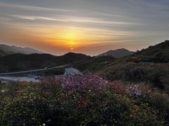 -大围山国家森林公园