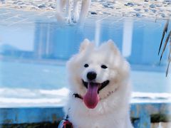 -日月湾海门游览区