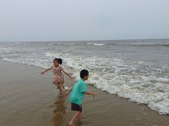 -日照海滨国家森林公园
