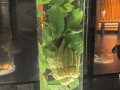 -广东中医药博物馆
