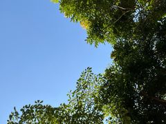-广东科技学院(南城校区)