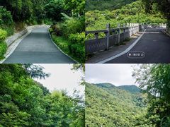 -阳台山森林公园