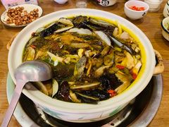 -杨记山珍鸡煲菌汤锅