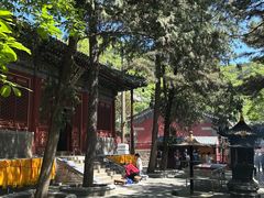-潭柘寺景区