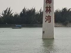 -东郊椰林