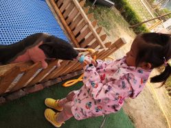 -萌宠亲子动物乐园(槐房万达店)