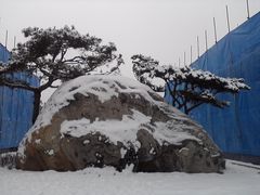 -华北军区烈士陵园