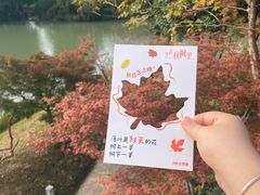 -青枫公园