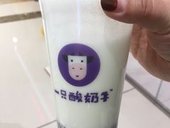 -一只酸奶牛(双流万达广场店)