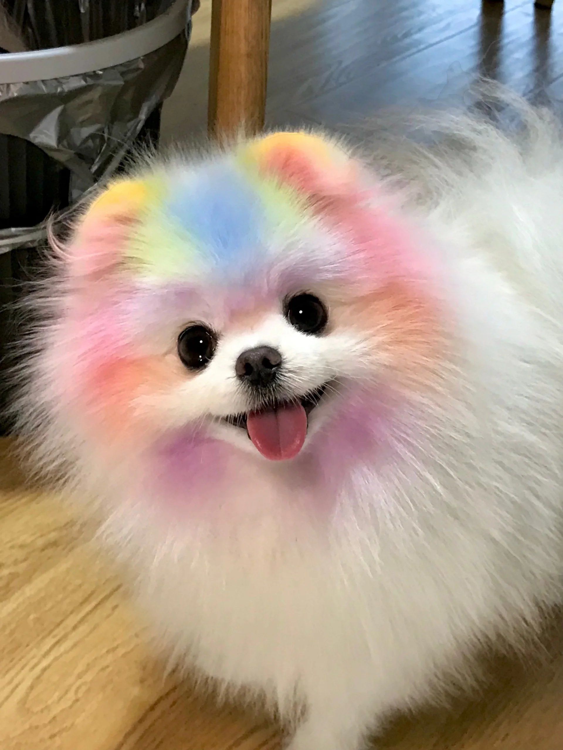 想听姨姨们的彩虹屁