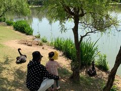 -南通濠河风景名胜区