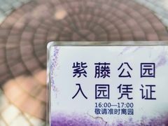 -嘉定紫藤园