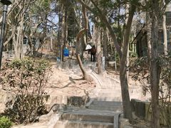 -信号山公园