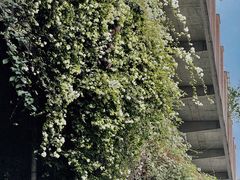 -广州市紫泥堂文化创意园景区