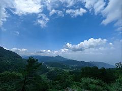 -武陵山森林公园
