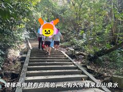 -火炉山森林公园